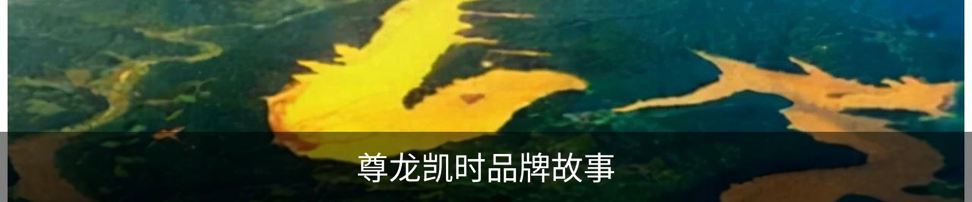 尊龙凯时品牌故事